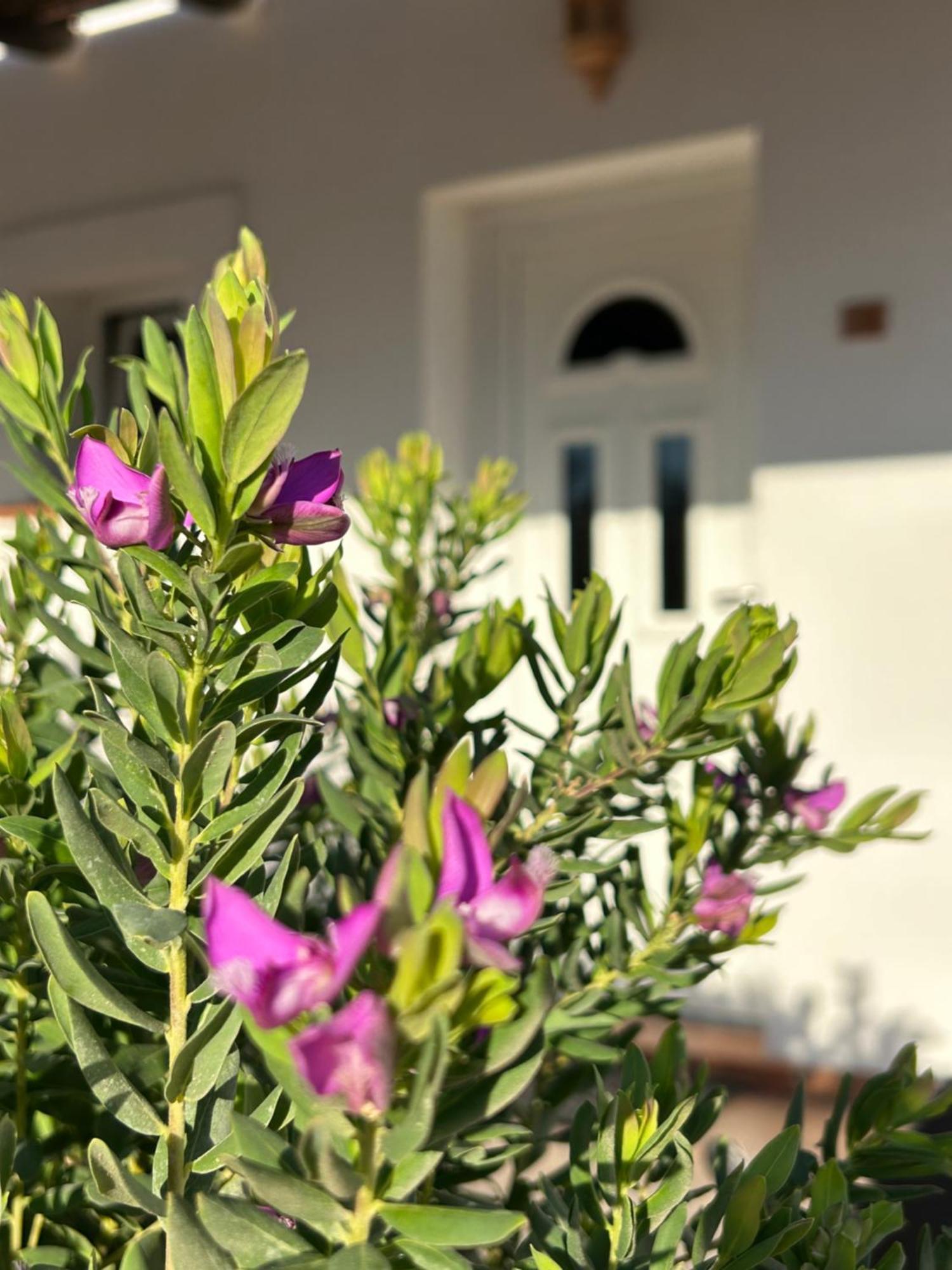 Hotel Oasi Di Casablanca Lampedusa Exteriér fotografie