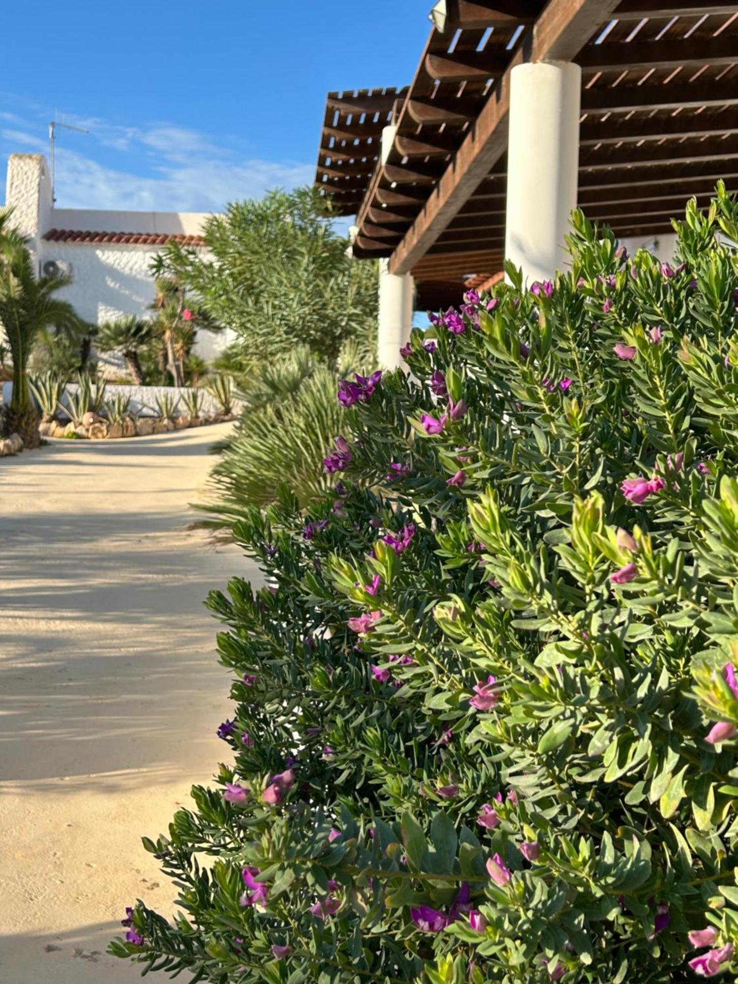 Hotel Oasi Di Casablanca Lampedusa Exteriér fotografie